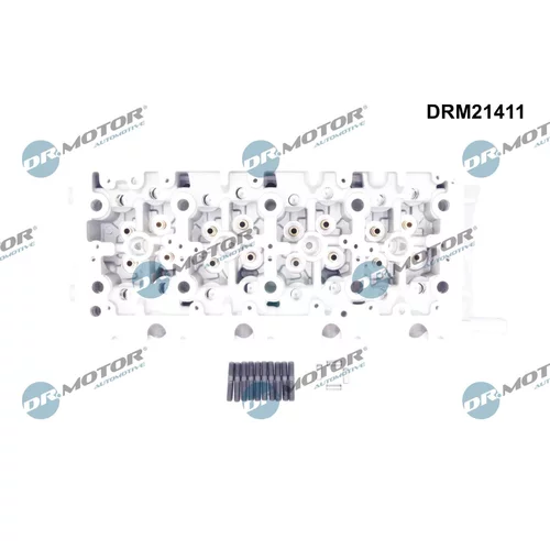 Hlava valcov motora DRM21411 (Dr.Motor Automotive) - obr. 1