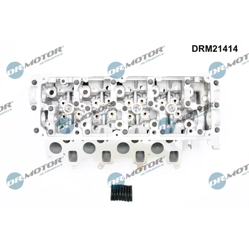 Hlava valcov motora DRM21414 (Dr.Motor Automotive) - obr. 1
