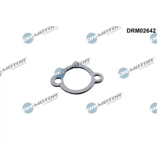 Tesnenie napínacej lišty rozvodovej reťaze DRM02642 (Dr.Motor Automotive)