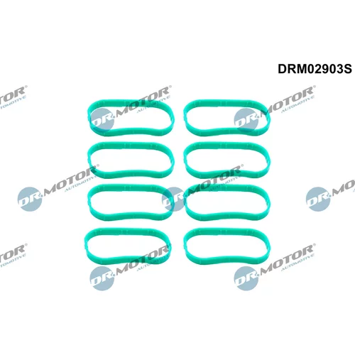 Sada tesnení kolena nasávacieho potrubia Dr.Motor Automotive DRM02903S