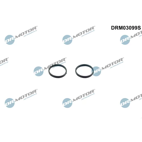 Súprava tesnení, čerpadlo oleja Dr.Motor Automotive DRM03099S