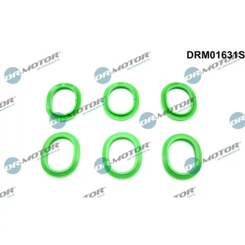 Sada tesnení kolena nasávacieho potrubia Dr.Motor Automotive DRM01631S