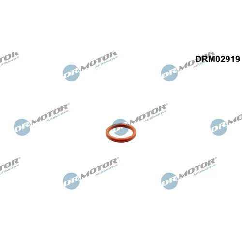Tesnenie výpustnej skrutky oleja Dr.Motor Automotive DRM02919