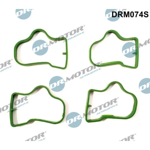 Sada tesnení kolena nasávacieho potrubia DRM074S (Dr.Motor Automotive)