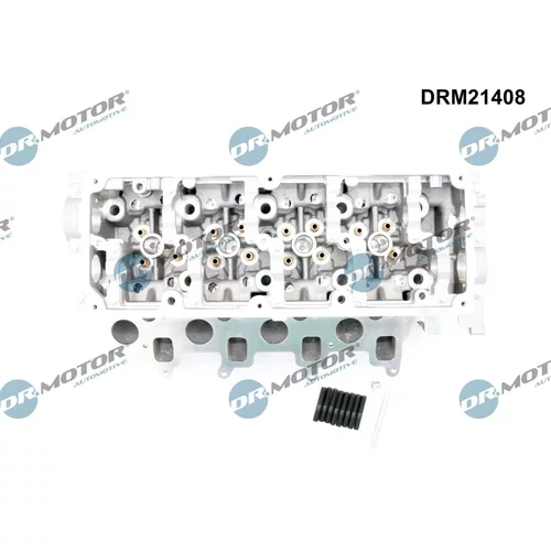 Hlava valcov motora DRM21408 (Dr.Motor Automotive) - obr. 1
