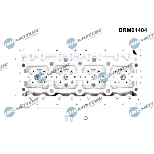 Hlava valcov motora DRM61404 (Dr.Motor Automotive) - obr. 1