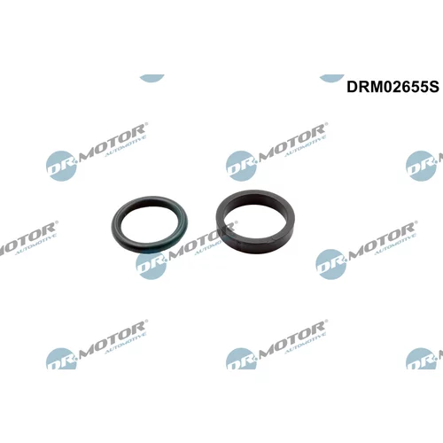 Tesnenie, nastavenie vačkového hriadeľa Dr.Motor Automotive DRM02655S
