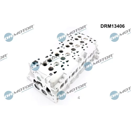Hlava valcov motora DRM13406 (Dr.Motor Automotive) - obr. 2