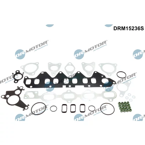 Sada tesnení, Hlava valcov Dr.Motor Automotive DRM15236S