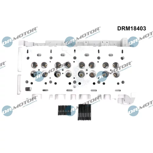 Hlava valcov motora DRM18403 (Dr.Motor Automotive) - obr. 1