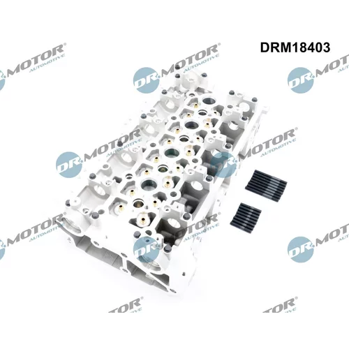 Hlava valcov motora DRM18403 (Dr.Motor Automotive) - obr. 2