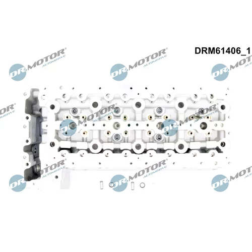 Hlava valcov motora DRM61406 (Dr.Motor Automotive) - obr. 1