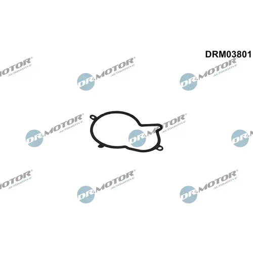 Tesnenie vstrekovacieho čerpadla Dr.Motor Automotive DRM03801