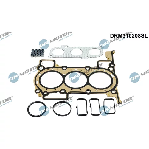 Sada tesnení, Hlava valcov Dr.Motor Automotive DRM310208SL
