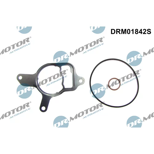 Sada tesnení, podtlaková pumpa Dr.Motor Automotive DRM01842S