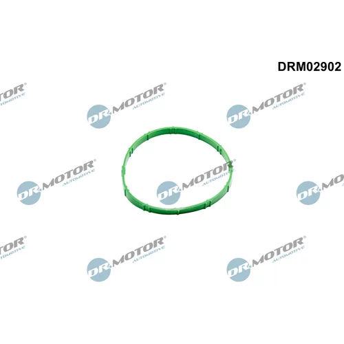 Tesnenie, hrdlo škrtiacej klapky Dr.Motor Automotive DRM02902