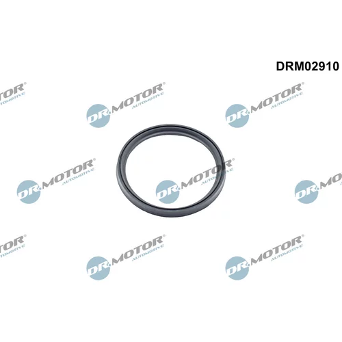 Tesniaci krúžok hadice plniaceho vzduchu Dr.Motor Automotive DRM02910