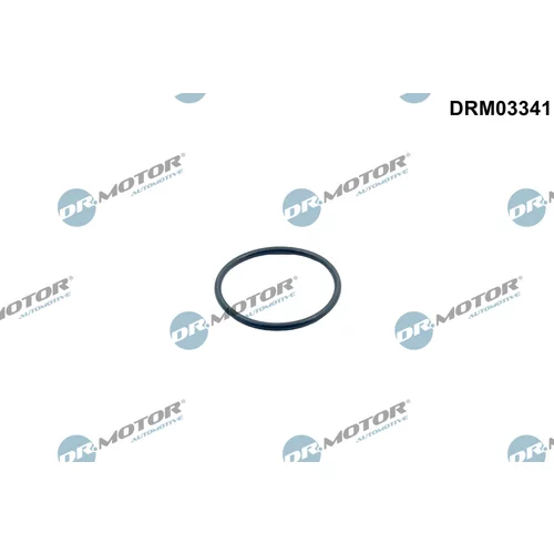 Tesnenie termostatu Dr.Motor Automotive DRM03341