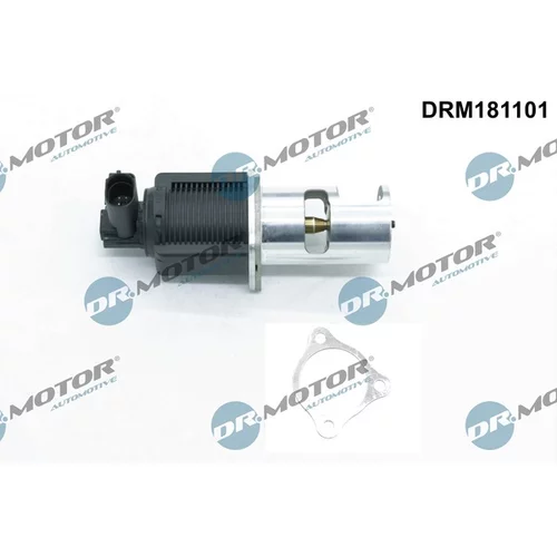 EGR ventil DRM181101 (Dr.Motor Automotive) - obr. 1