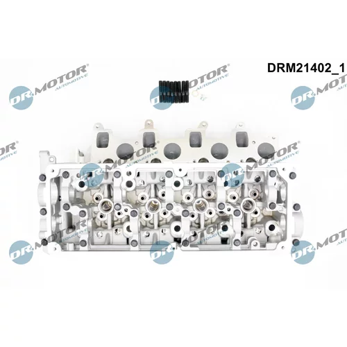 Hlava valcov motora DRM21402 (Dr.Motor Automotive) - obr. 1