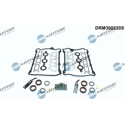 Sada tesnení, Hlava valcov Dr.Motor Automotive DRM300220S