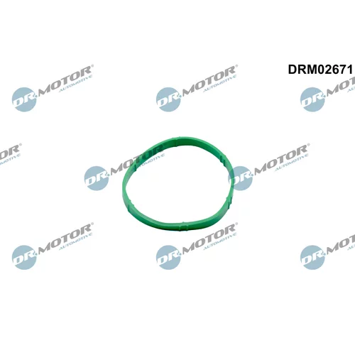 Tesnenie, hrdlo škrtiacej klapky Dr.Motor Automotive DRM02671