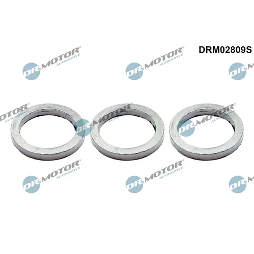 Sada tesnení pre zberné výfukové potrubie Dr.Motor Automotive DRM02809S