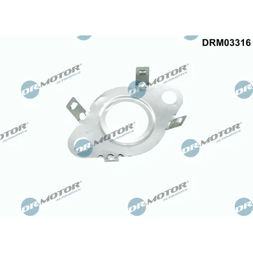 Tesnenie, Vedenie EGR ventilu Dr.Motor Automotive DRM03316