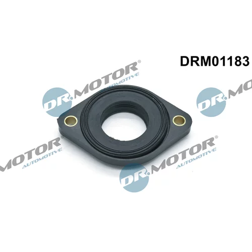 Tesnenie, nastavenie vačkového hriadeľa DRM01183 (Dr.Motor Automotive)