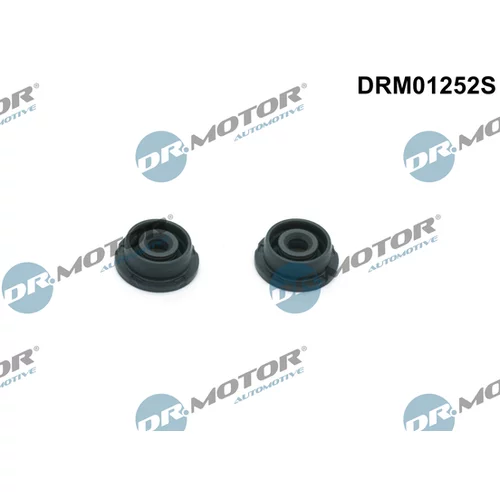 Sada tesnení veka hlavy valcov Dr.Motor Automotive DRM01252S