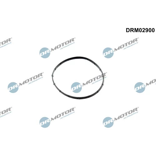 Tesnenie vákuového čerpadla Dr.Motor Automotive DRM02900
