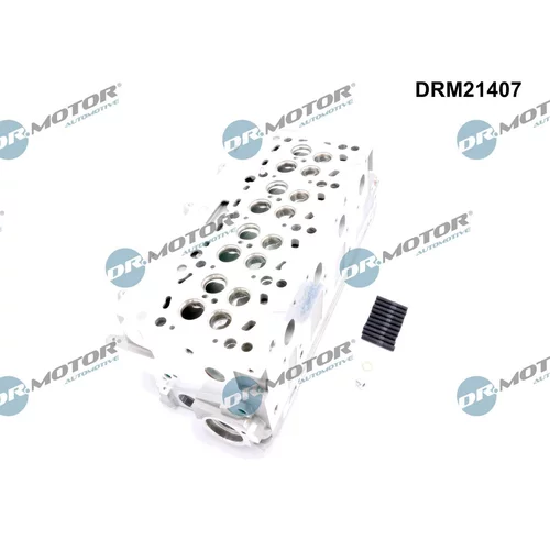 Hlava valcov motora DRM21407 (Dr.Motor Automotive) - obr. 2