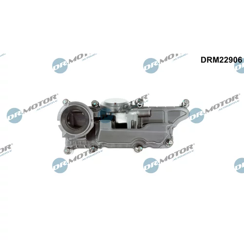 Odlučovač oleja v odvetraní kľukovej skrine DRM22906 (Dr.Motor Automotive)