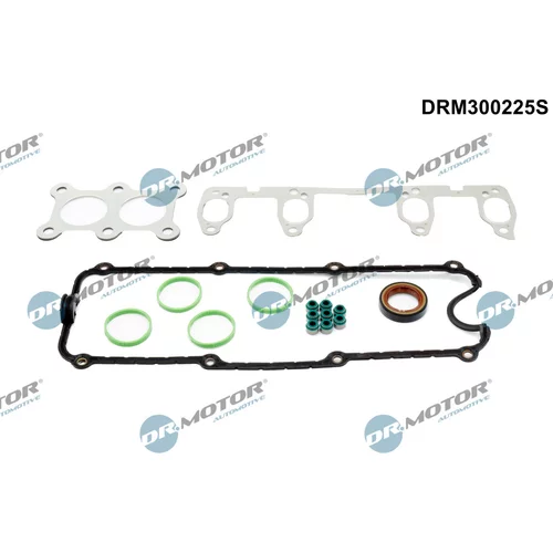 Sada tesnení, Hlava valcov Dr.Motor Automotive DRM300225S