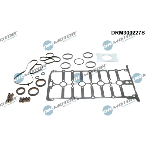 Sada tesnení, Hlava valcov Dr.Motor Automotive DRM300227S