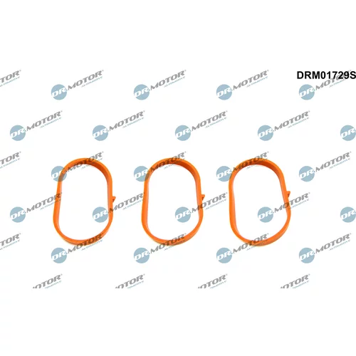 Sada tesnení kolena nasávacieho potrubia Dr.Motor Automotive DRM01729S