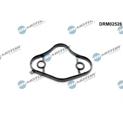 Tesnenie, Palivové čerpadlo DRM02526 (Dr.Motor Automotive)