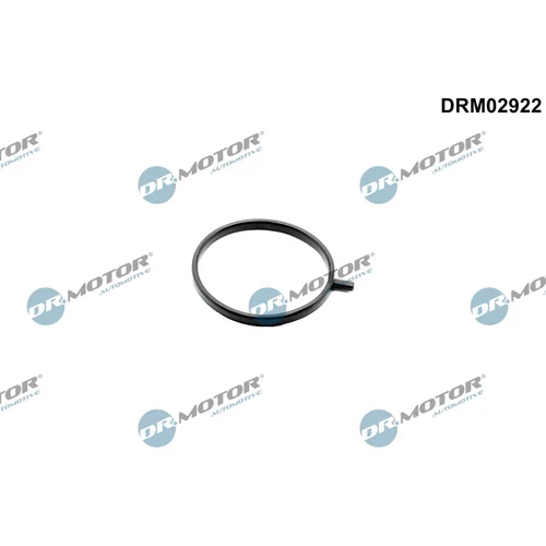 Tesniaci krúžok turbodúchadla Dr.Motor Automotive DRM02922