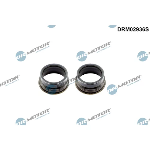 Tesnenie veka hlavy valcov Dr.Motor Automotive DRM02936S