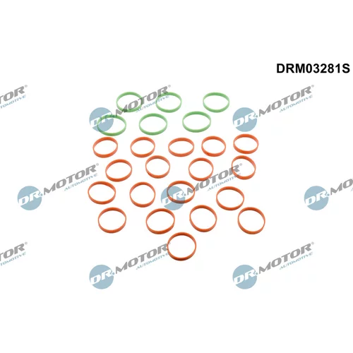 Sada tesnení kolena nasávacieho potrubia Dr.Motor Automotive DRM03281S