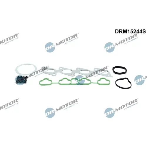 Sada tesnení, Hlava valcov Dr.Motor Automotive DRM15244S