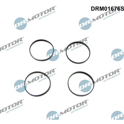 Sada tesnení kolena nasávacieho potrubia DRM01676S (Dr.Motor Automotive)