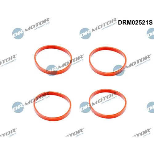 Sada tesnení kolena nasávacieho potrubia Dr.Motor Automotive DRM02521S