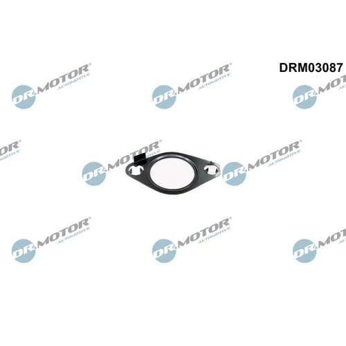 Tesnenie, EGR ventil Dr.Motor Automotive DRM03087