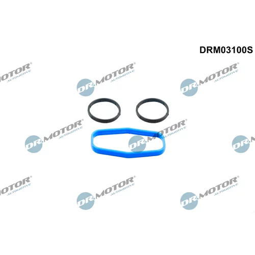 Súprava tesnení, čerpadlo oleja Dr.Motor Automotive DRM03100S