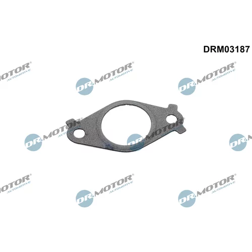 Tesnenie, Vedenie EGR ventilu Dr.Motor Automotive DRM03187