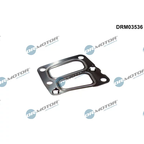 Tesnenie, EGR ventil Dr.Motor Automotive DRM03536