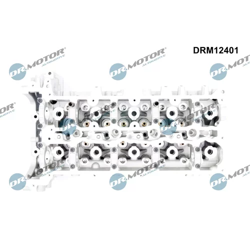 Hlava valcov motora DRM12401 (Dr.Motor Automotive) - obr. 1