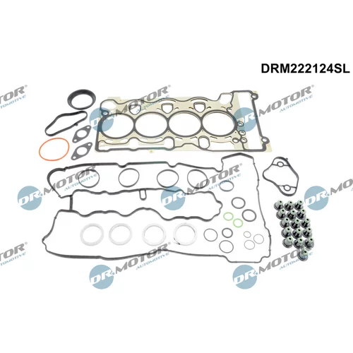 Sada tesnení, Hlava valcov Dr.Motor Automotive DRM222124SL