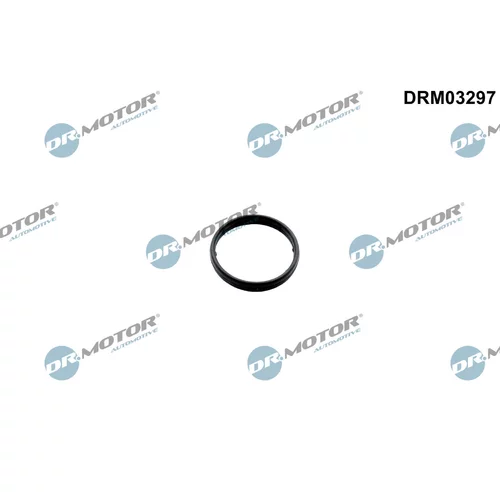 Tesniaci krúžok, chladi? oleja (mazanie) Dr.Motor Automotive DRM03297
